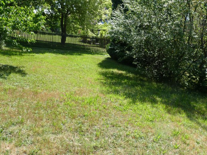 Beau terrain à bâtir avec petite maison à Possendorf – Wiese hinter dem Haus