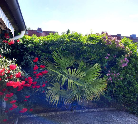 Traumlage: Ruhig, zentral und großzügig – Terrasse