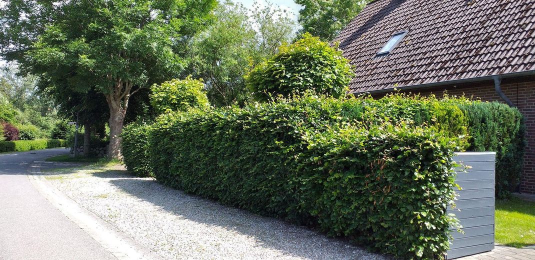 Immobilie mit Ambiente & Flair vor Sylt - inkl. Ausstattung und provisionsfrei! – Straßenansicht