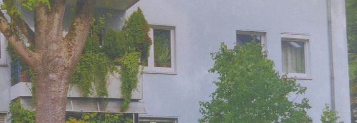 Haus