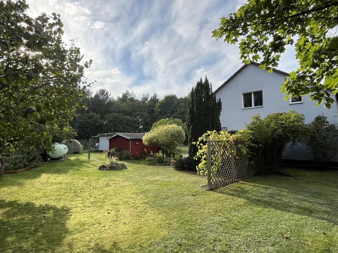 Blick in den Garten