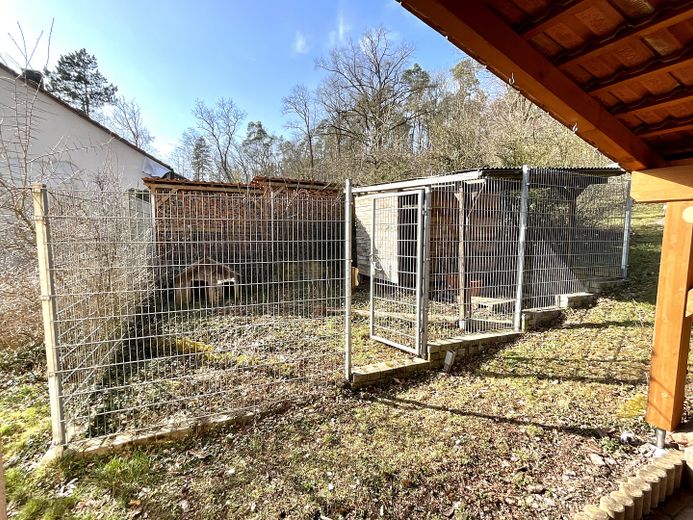 Hunde Garten