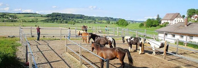Auslauf/Reitpatz
