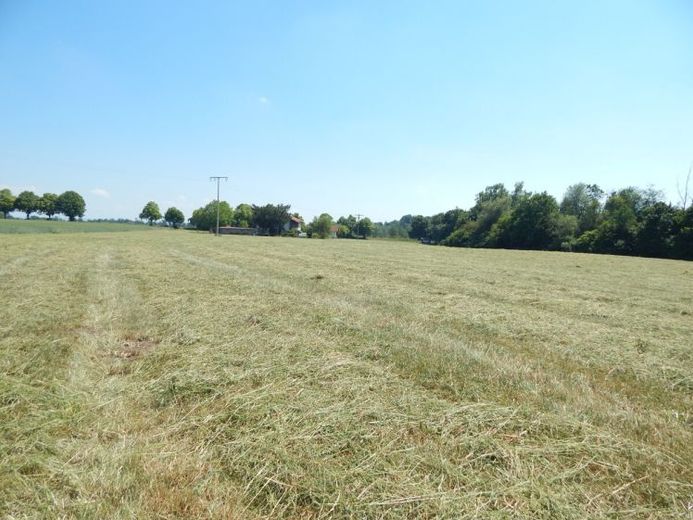 Landwirtschaftlicher Grund als Geldanlage - in 84529 Tittmoning/Südbayern, Nähe Leitgeringer See – Foto 1