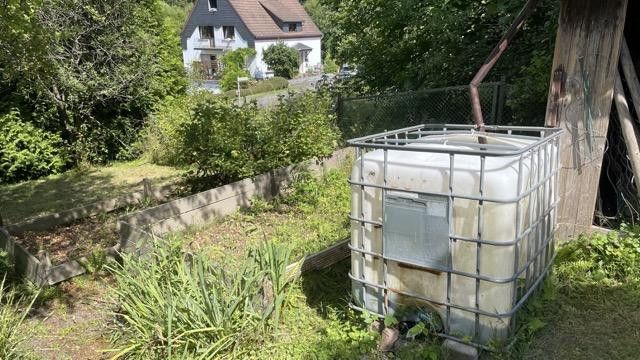 Gemüsegarten
