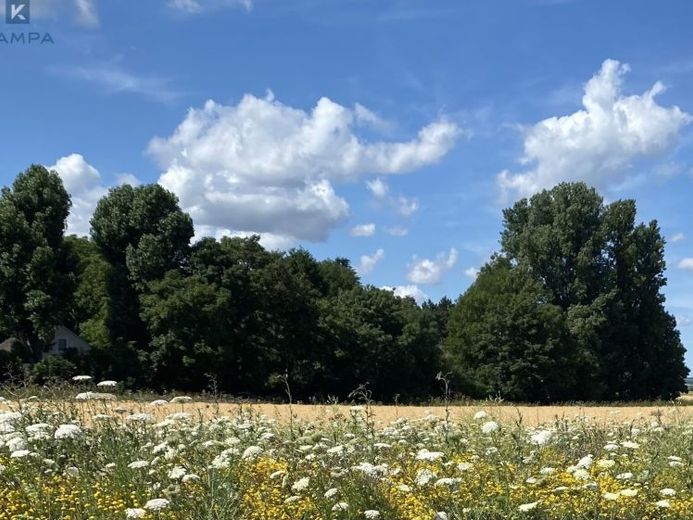 Attraktive Baugrundstücke in begehrter Lage in Frechen – Foto 1
