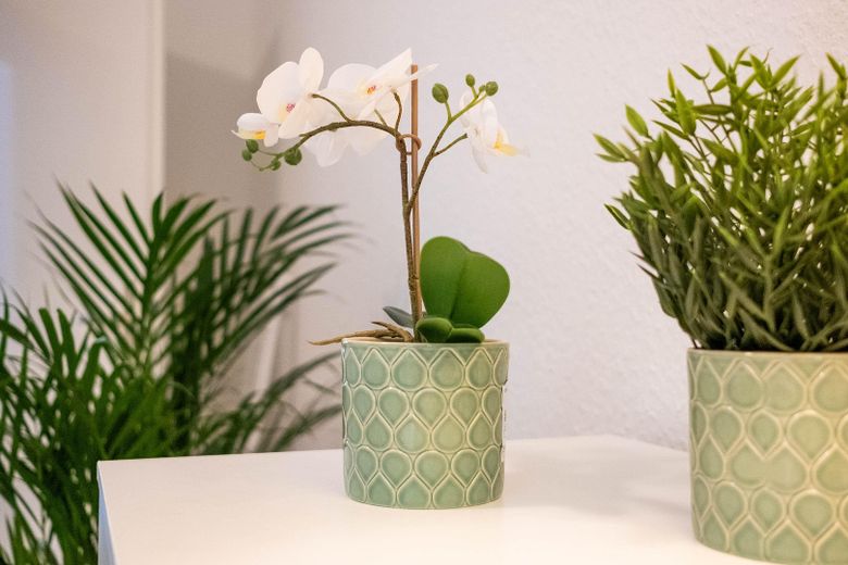 Liebevolle Dekoration