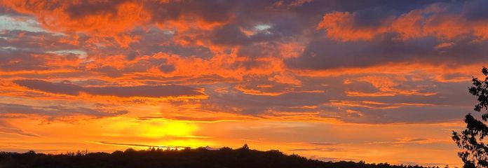 Exclusivo piso con terraza, vistas de ensueño al entorno verde, grandes ventanales y garaje