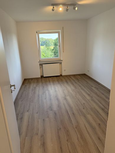Neu renovierte 3-Zimmer-Wohnung mit Balkon, neuer EBK und 2 Stellplätzen in Reuffelbach (Mammelzen) – Büro/2. Schlafzimmer