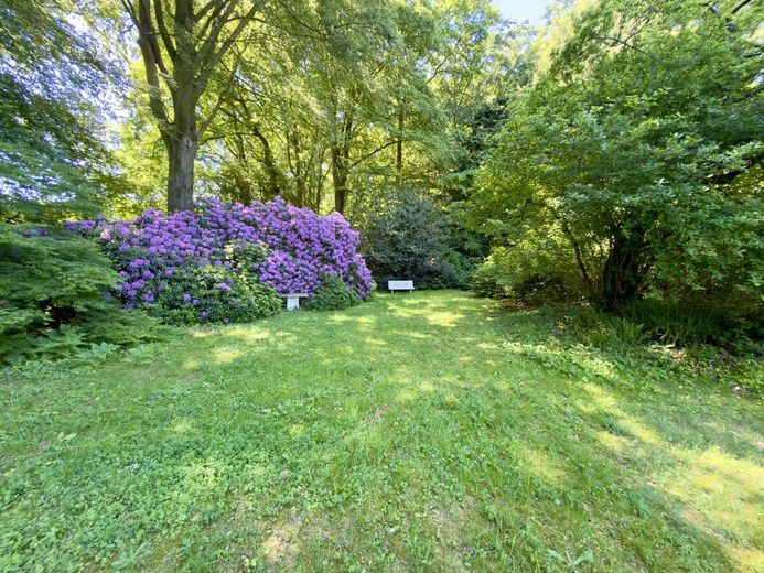 Absolute Rarität: Bungalow in Schildgen mit 6.612 m² Grundstück in direkter Waldrandlage – Gartenparadies