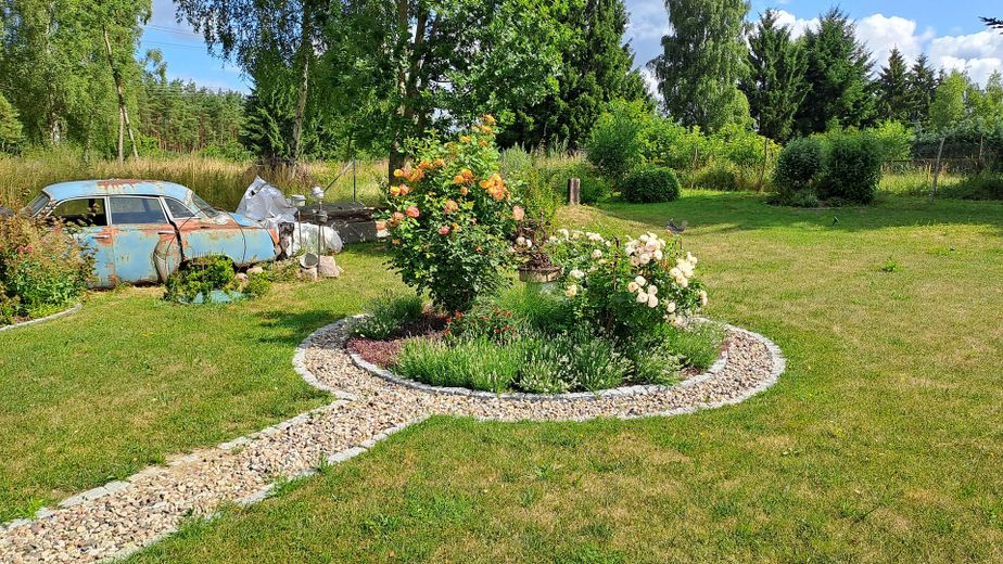 Rosenrondell im Gartenbereich