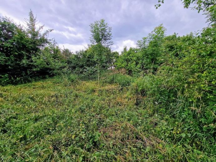 Grand terrain pour la construction de la maison de vos rêves – Photo 1