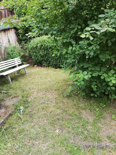 Fachwerkhaus im Zentrum: 8 x Zi - 3 x Kochen - 3 x Du.Ba. - 1 x Innenhof - FALC Immobilien Göttingen – Garten