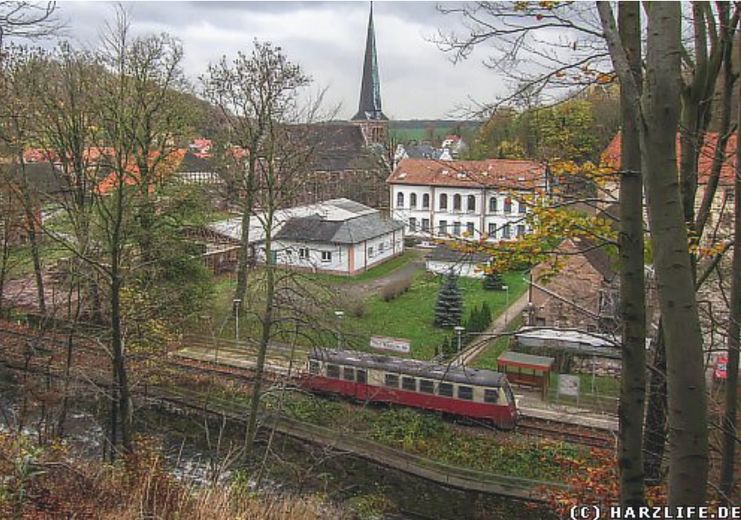 Idyllische Villa/Mehrfamilienhaus in grünem Erholungsort (Harz) - mit Ausbau-/Investmentpotential – Bahn Harz-Ilfeld-Nordhausen