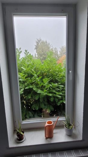 Fenster Arbeitszimmer