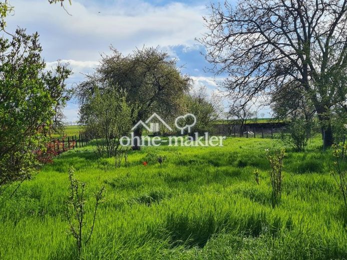 Baugrundstück(e) Naturidylle EFH DHH Tiny House Bauturbo – Foto 1