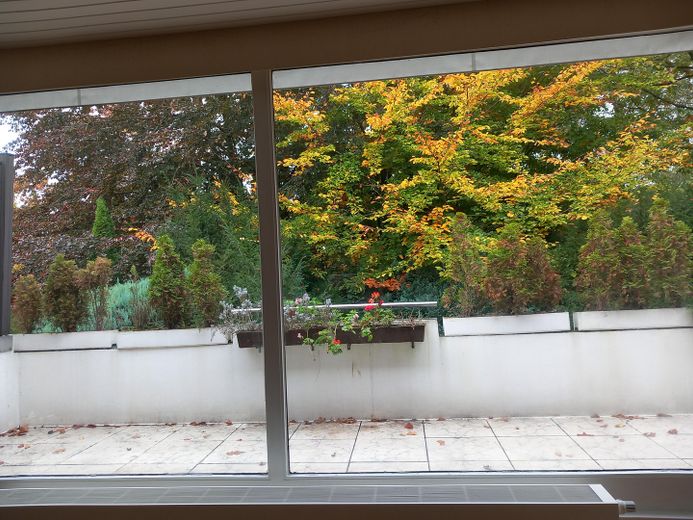 Blick auf Sonnenterrasse