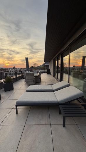 Ren ve Siebengebirge arasında penthouse – Fotoğraf 13