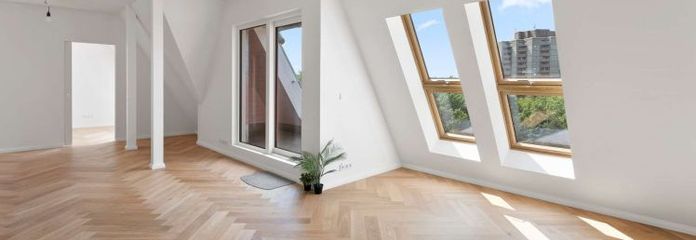 Dachgeschoss-Schmuckstück! Neu ausgebautes Penthouse in der Grünen Stadt