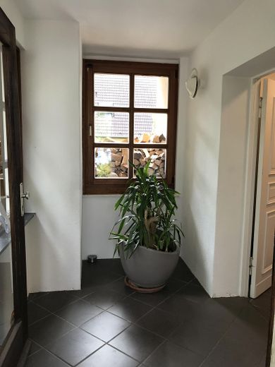 Freistehendes Einfamilienhaus mit Photovoltaikanlage auf sonnigem Grundstück in Berlin-Wittenau – Hauseingang