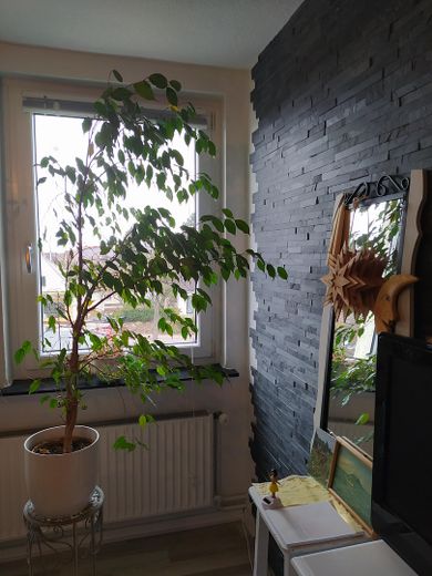 Zimmer Flur hinten eingerichte