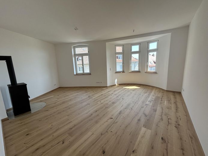 Kernsanierte 4-Zi-Altbauwohnung mit Balkon im Herzen Bambergs – Wohn-/Esszimmer mit Ofen
