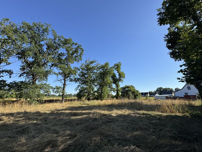 Grundstück im schönen Wiederau - Baupartner für Doppelhaus gesucht – Foto 8