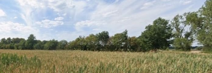 Baugrundstück in Bad Liebenwerda