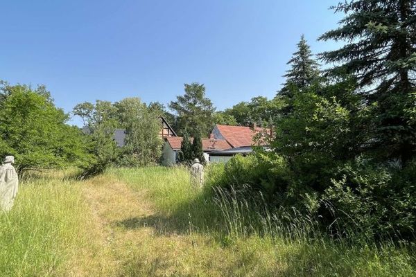 Terrain bâti à réaliser soi-même dans la Dübener Heide !