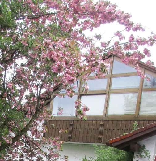 Haldenwang: freie 4 Zi- DG-Wohg.,99qm,Balkon, 1Garage,1Stellplatz, Keller – Balkonansicht