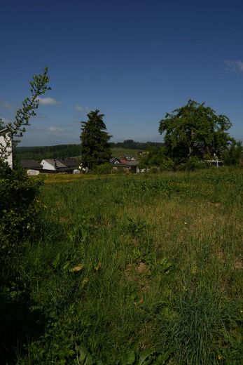 Blick Richtung Garten