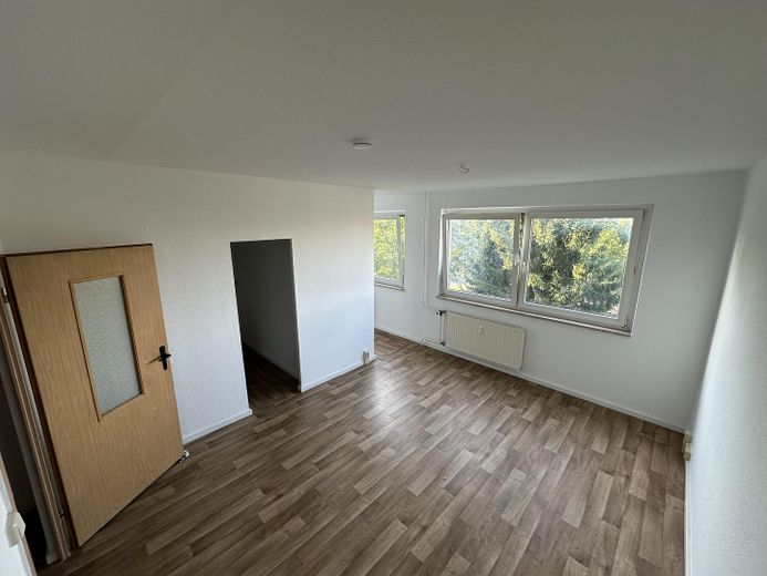 Gera Lusan'da yenilenmiş 1 odalı daire – Foto 1