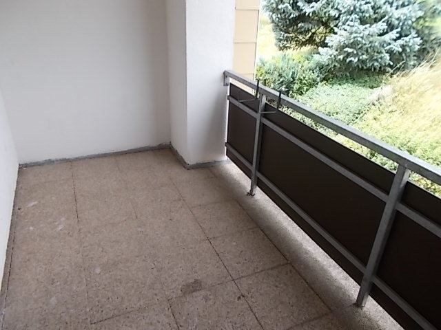 DSCN0142