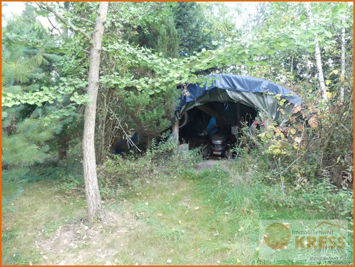 Bild 12