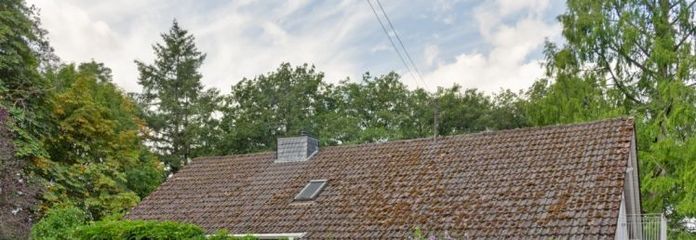 Trier-Feyen - Großzügiges freistehendes Wohnhaus in individueller Lage mit viel Grün