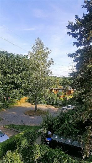 Attraktive 4 Zi.-Wohnung im schönen Rahlstedt – Foto 2