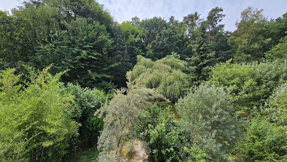 Viel Platz und Blick ins Grüne: Ihr Sanierungsprojekt in ruhiger Bestlage – Foto 15