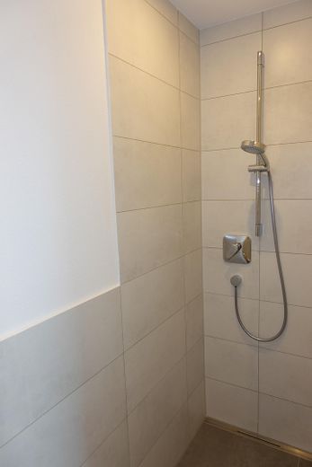 Gäste-WC mit Dusche EG