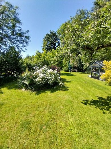 Garten mit Gewächshaus
