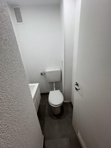 WG-Zimmer: Möbliert, saniert & separat nutzbar – nur 200 m zur Uni Mannheim! Sofort verfügbar!** – Gäste WC