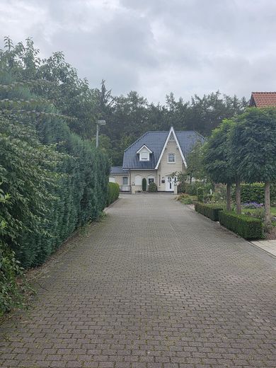 Detached house in Cloppenburg – Photo 5