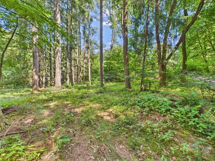 Wochenendgrundstück in traumhafter Lage - Verstecktes Paradies für Ruhesuchende! – Bild 3