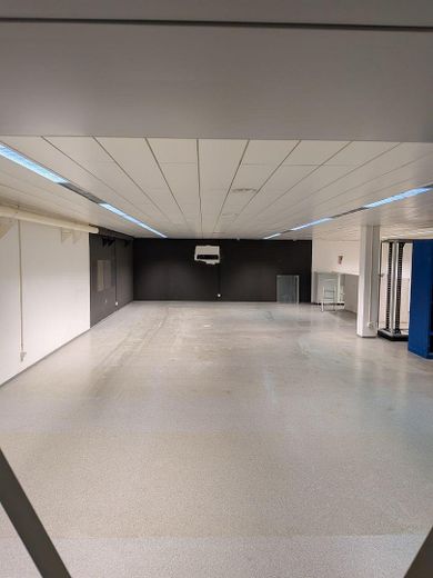 Attraktive Lagerfläche im Zentrum von Gießen zu vermieten – Foto 2
