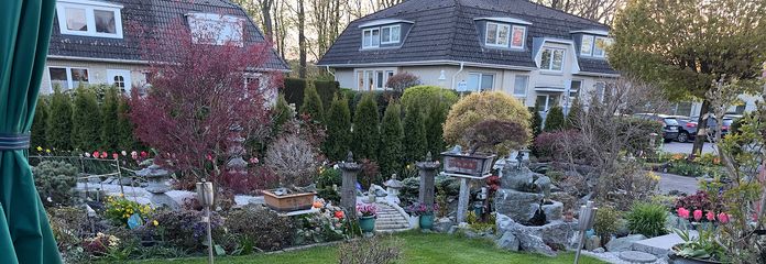 Garten mit Bonsai