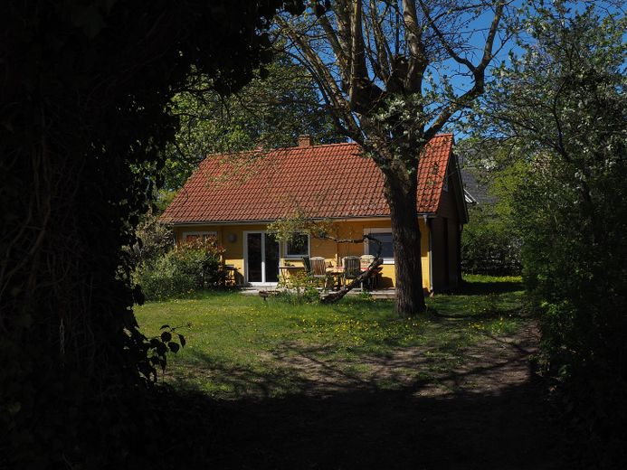 Haus