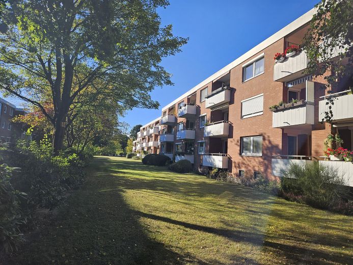 Blick aus dem Garten