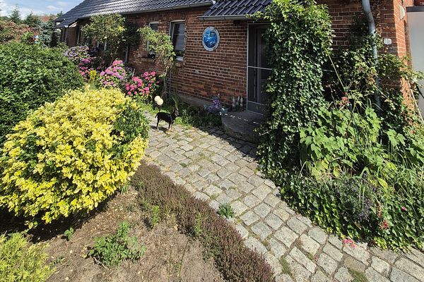 Naturparadies nähe Ludwigslust mit Schwimmteich, Koiteich und Werkstatt für Pendler Hamburg - Berlin