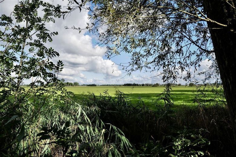 Ausblick vom Grundstück