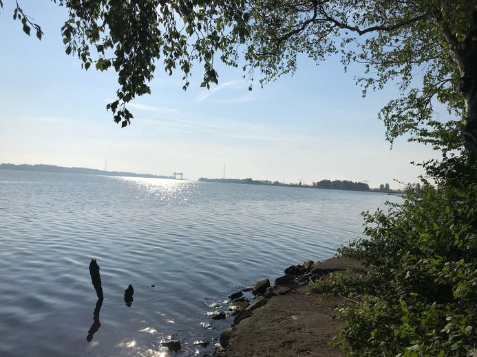 Exklusives Wasserdomizil am Peenestrom – Umgeben von Wasser und Natur – Foto 24