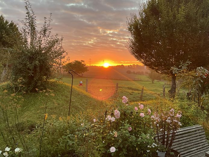 खुले नज़ारों के साथ जीवन – Morgendlicher Ausblick